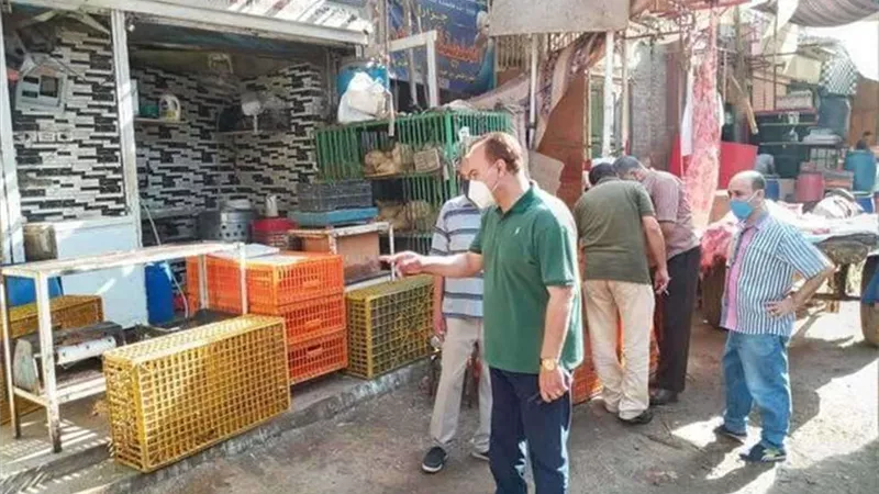 حملات تموينية بملوي جنوب المنيا