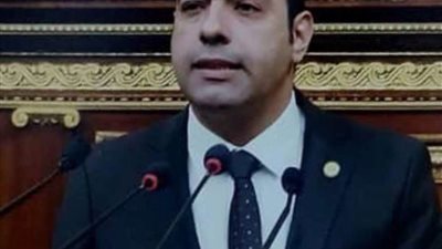 النائب محمود حسين يشيد بتوصيات منتدى شباب العالم بشأن مكافحة خطاب الكراهية