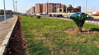 رئيس جهاز الشروق: تنفيذ أعمال تجميل جزيرة مفارق الشباب بالمحور الشرقي للمدينة