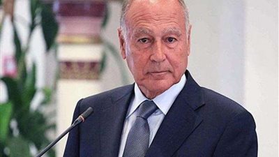 أبو الغيط: اسرائيل وضعت الفلسطينيين في مأزق تاريخي وتلتهم أراضيهم