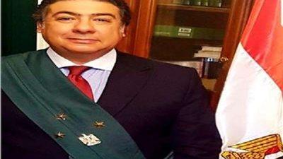 رئيس محكمة الاستئناف: القضاة لا يتأثرون بـ