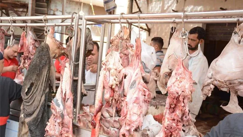 ضبط 72 كيلو من اللحوم غير صالحة بـ3 مراكز المنيا