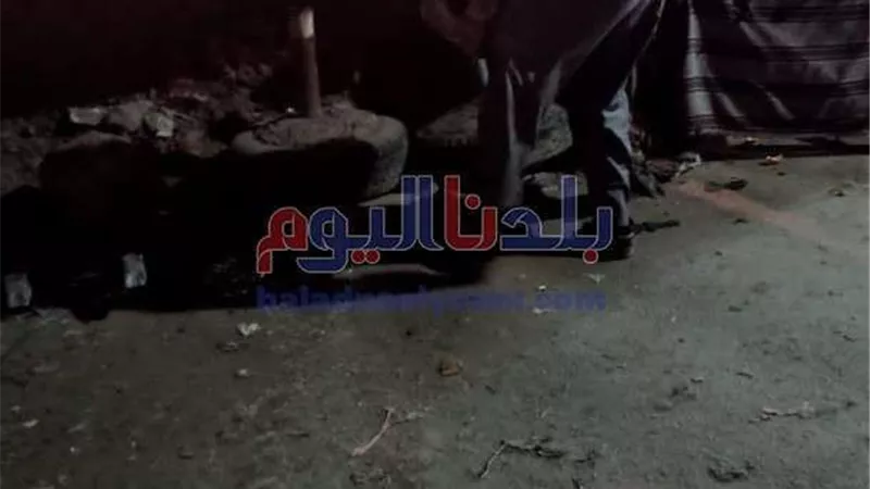 حملة مكبرة لازالة الإشغالات في حوش عيسى بالبحيرة
