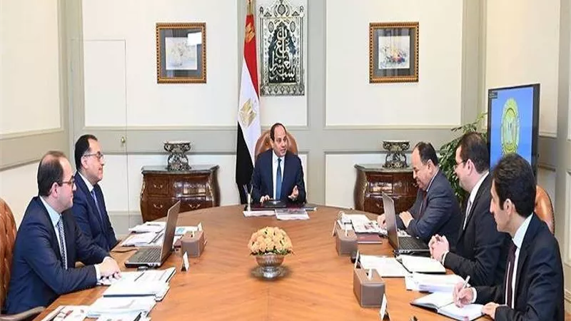 السيسي يتابع مع وزير المالية موقف الحد الأدنى للأجور