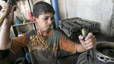 مجلس الشيوخ يوافق على القانون الخاص بتنظيم عمل الأطفال