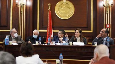 وزيرة التخطيط تستعرض محاور المشروع القومي لتنمية الأسرة المصرية