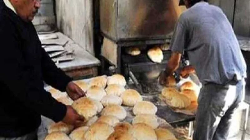 تحرير 106 مخالفة تموينية خلال عدد من الحملات التفتيشية بالمنيا