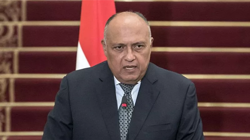 شكرى يعقد لقاًء ثنائيا مع نظيره العماني للمشاركة في مجلس الأعمال