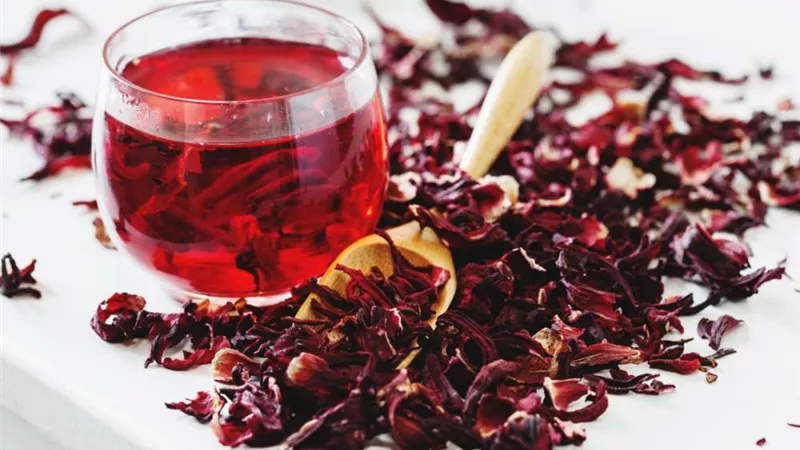 حوار.. خبير أعشاب يكشف عن فوائد تناول الكركديه في الشتاء