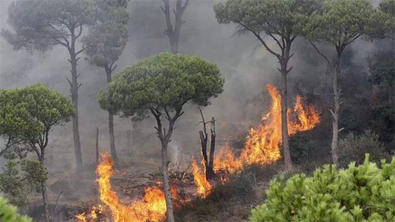 أستراليا تستدعي الجيش للمساعدة في مكافحة حرائق الغابات بجنوب شرق البلاد