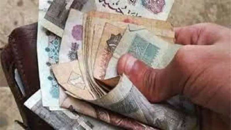 بدء من يناير.. تعرف على تفاصيل زيادة المعاشات لقانون التأمينات الجديد