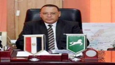 محافظ الشرقية يضبط سيارة تسير عكس الاتجاه بشارع مصطفى كامل بأبو كبير