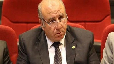 برلماني: دمج الاقتصاد غير الرسمي ينمي موارد الدولة