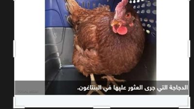 القبض على 