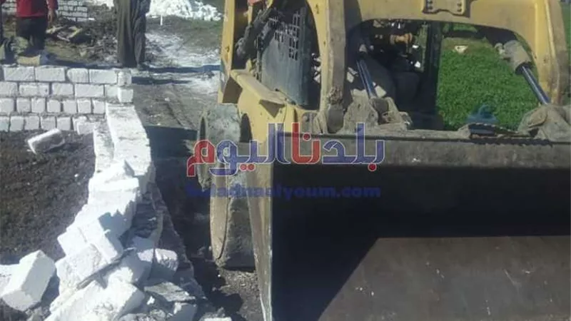 إزالة 27 حالة تعد في المهد على الأراضي الزراعية بقرى الواسطى شمال بني سويف