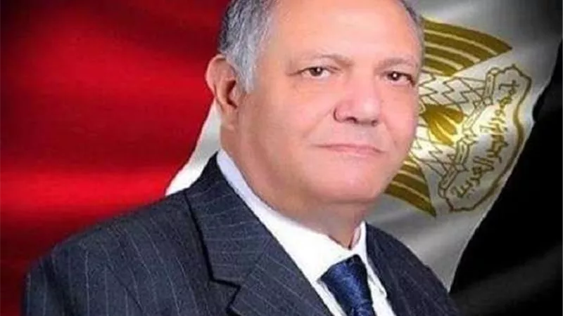 برلماني: نستطيع إجراء جميع الاستحقاقات الانتخابية في عام واحد
