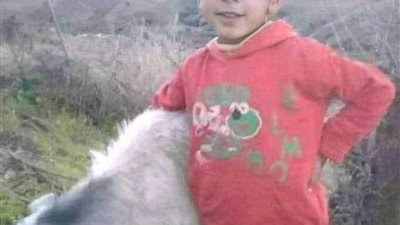 منظمة 