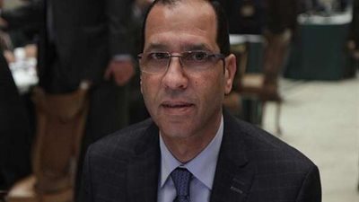 برلماني: مصر خاضت حربًا شرسة ضد الإرهاب خلال السنوات الماضية