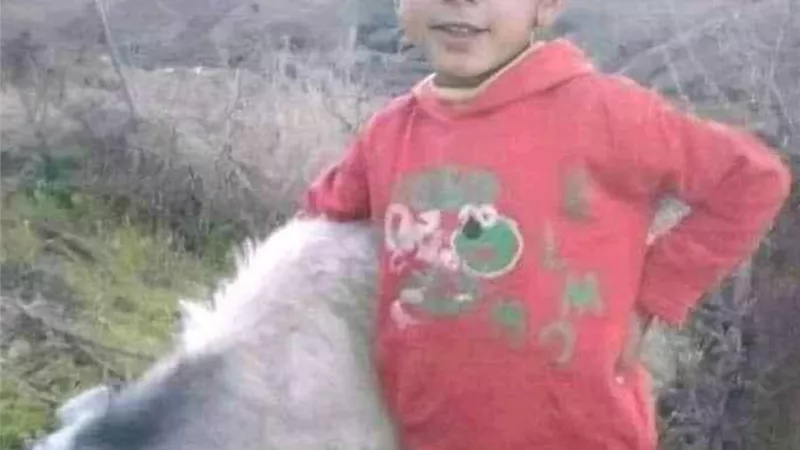 منظمة 