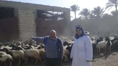 ضبط 124 كيلو جرام لحوم غير صالحة للاستهلاك الآدمي بالفيوم