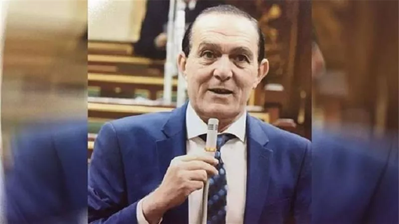 برلماني: أردوغان يحاول العبث بالأمن في دول شمال أفريقيا