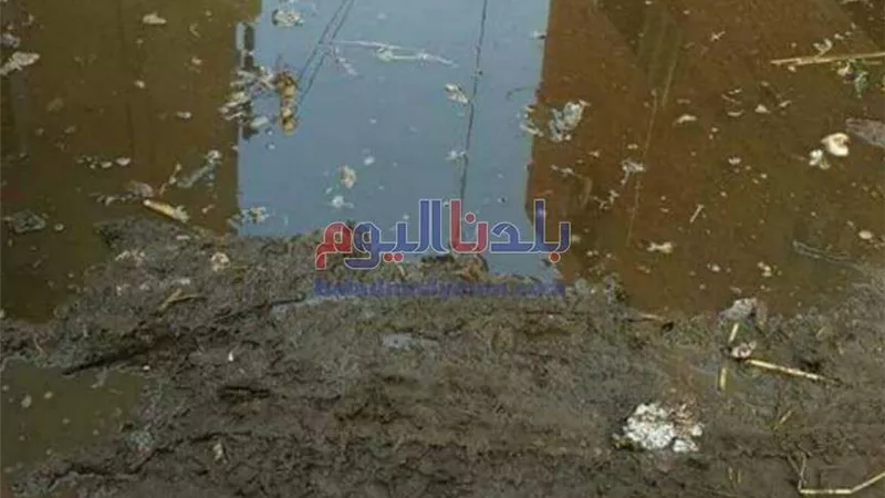 مياه الشرب والصرف الصحي ترد على غرق قرية وزير الأوقاف في بني سويف