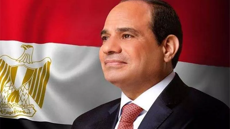 أبرز تصريحات الرئيس عبد الفتاح السيسي عن الشراكة مع ألمانيا خلال استقباله وزيرة الخارجية