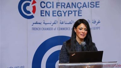 بمناسبة احتفال مرور 30 عامًا على تأسيسها.. رانيا المشاط تلتقي أعضاء غرفة التجارة والصناعة الفرنسية في مصر