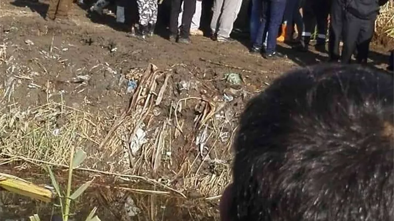 مصدر أمني: شبهة جنائية وارء مذبحة أسرة البحيرة