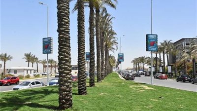 رئيس جهاز القاهرة الجديدة يكشف عن طروحات لزيادة المساحات الخضراء