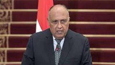 وزير الخارجية: زيارة جون كيري للقاهرة تعكس العلاقات الممتدة بين مصر وأمريكا