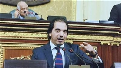عمرو الجوهري: إنشاء وحدة للمستثمرين المصريين بالخارج خطوة جيدة