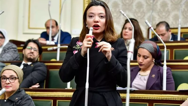مي كرم جبر: قانون الضريبة على الدخل لم يراع البعد الاجتماعي للمواطنين