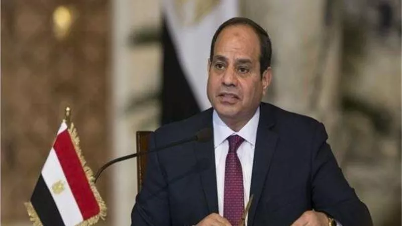 السيسي يصدر قرارًا بتخصيص  مساحات من محافظة الجيزة لصالح وزارة الكهرباء