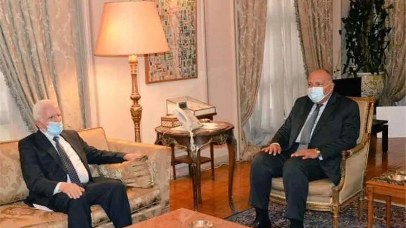 الخارجية المصرية.. تكشف تفاصيل لقاء شكري مع عزام الأحمد