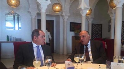 وزير الخارجية يلتقي نظيره الجزائري لبحث القضايا ذات الاهتمام المشترك