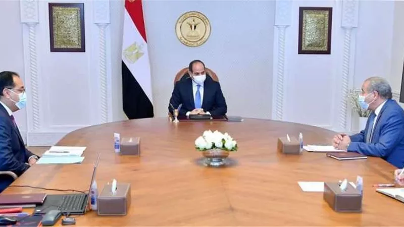 الرئيس السيسي يجتمع بالحكومة لمتابعة الاستعدادات لشهر رمضان المبارك.. تفاصيل