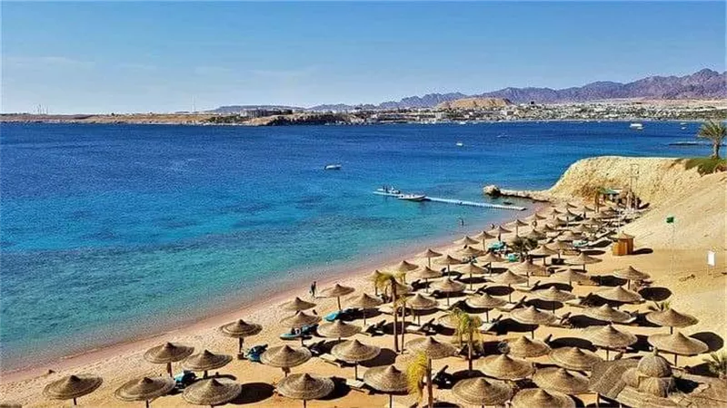 وزارة السياحة والآثار: الانتهاء من تقييم 716 منشأة فندقية بمحافظات الجمهورية