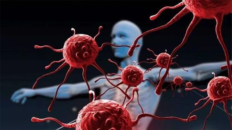 يزداد مع تقدم العمر.. 3 خطوات للحماية من سرطان المعدة