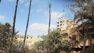 السيطرة على حريق أرض زراعية بأسوان
