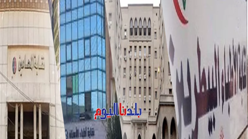 المحامين والبيطريين والمهندسين.. ماراثون الانتخابات يطرق أبواب النقابات المهنية