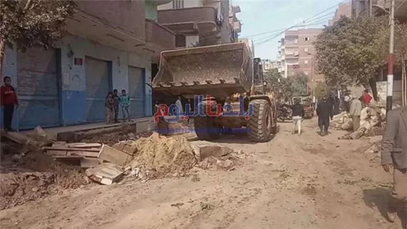 جمع 140 طن قمامة من شوارع مدينة المنصورة.. تفاصيل