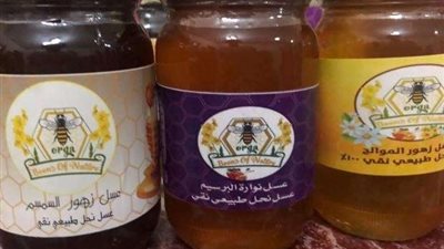 أبرزها البرسيم والموز.. إيمان تروي لـ «بلدنا اليوم» تفاصيل استخلاصها العسل من مواد غريبة