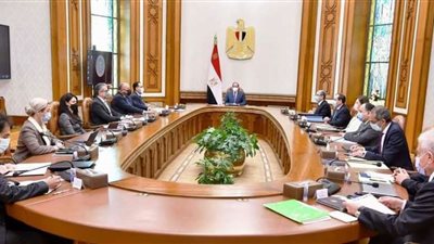 الرئيس السيسي يتابع أعمال اللجنة الوزارية لاستضافة مصر لمؤتمر تغير المناخ «COP27» نوفمبر القادم