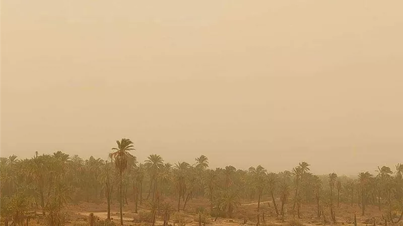 الأرصاد: انخفاض الحرارة غدا وتقلبات جديدة خلال أيام.. فيديو