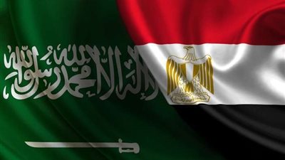 رئيس تحرير عكاظ: مصر والسعودية موقف واحد ومصير مشترك بجميع القضايا.. فيديو