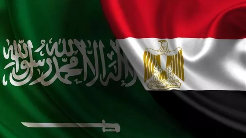 رئيس تحرير عكاظ: مصر والسعودية موقف واحد ومصير مشترك بجميع القضايا.. فيديو