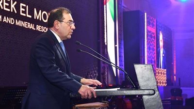وزير البترول: ضخ الغاز من إسرائيل لأجل تصديره