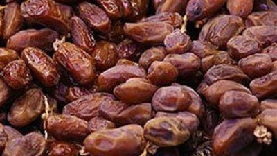 الزراعة تنظم ورشة عمل حول تحسين جودة تمور الوادي الجديد