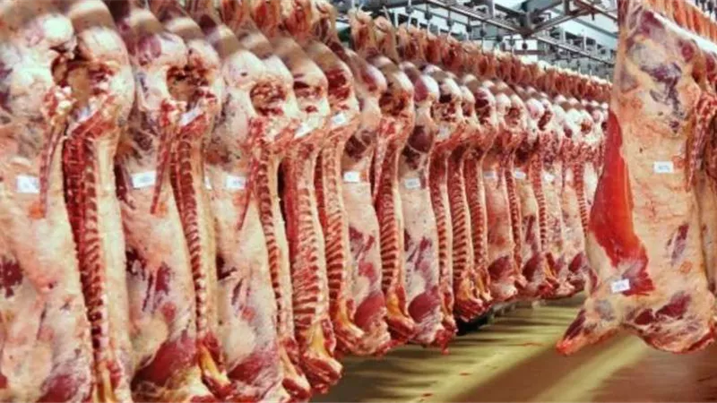مباحث التموين تضبط أكثر من 3 أطنان لحوم فاسدة بالجيزة